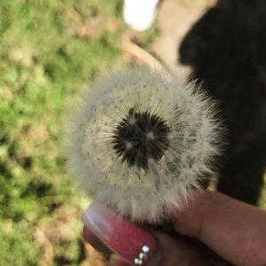 Meet your Posher, Lynette